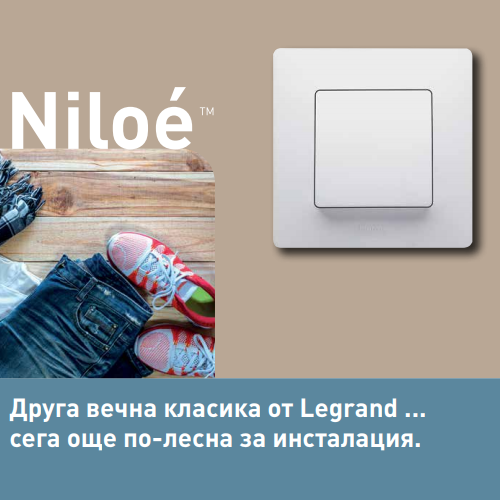 niloe_cat2