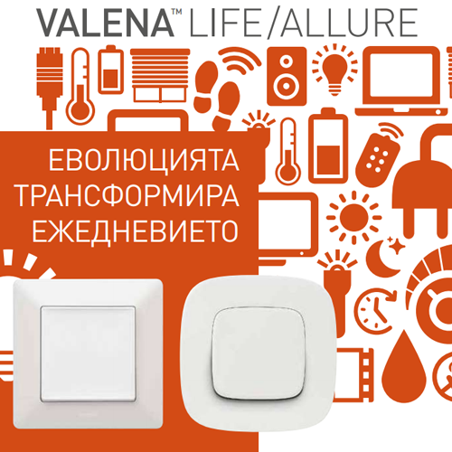 valena_cat2